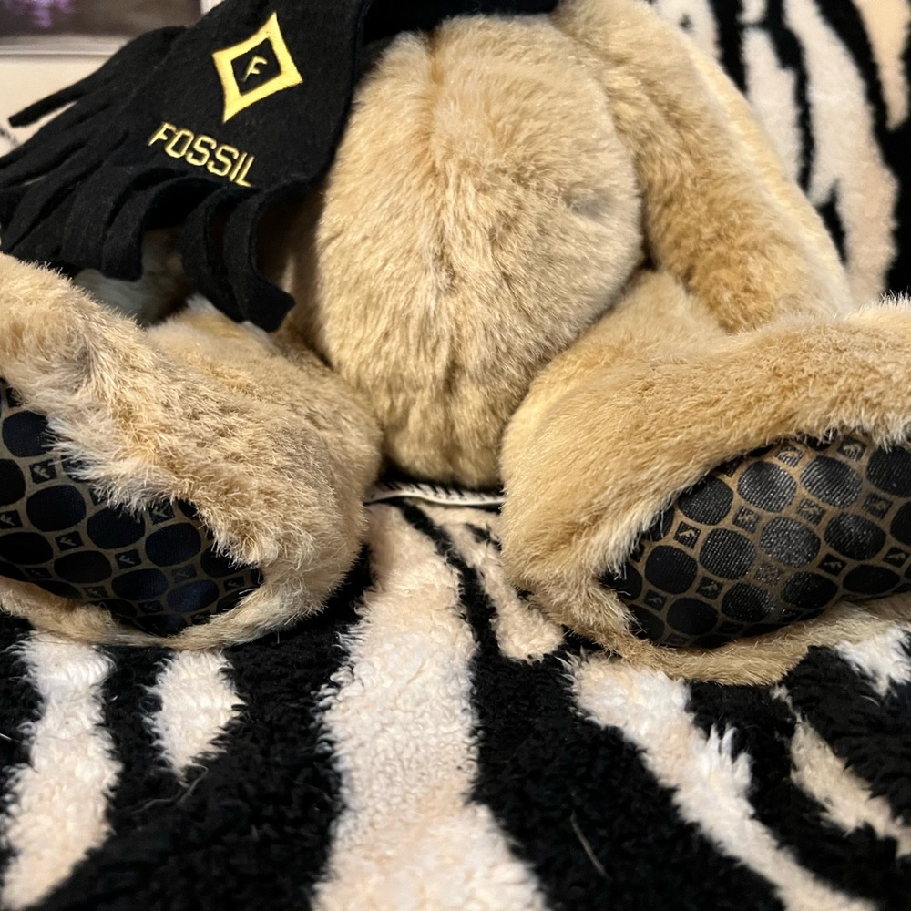 Fossil teddy bear - Picture 2 of 5